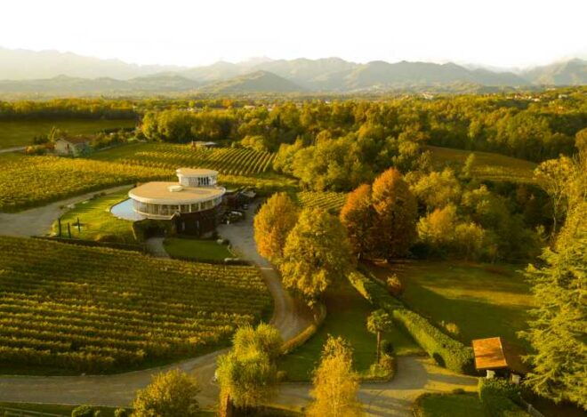 Alto Piemonte: Classic Wine Tasting - Wine Tasting Experience