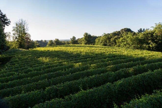 Alto Piemonte: Classic Wine Tasting - Booking Information