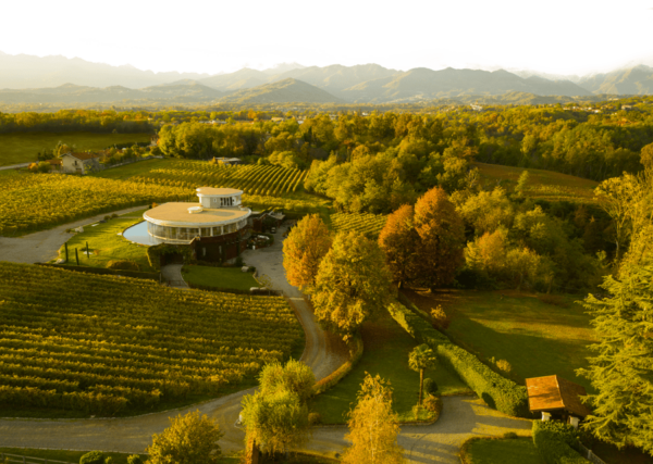 Alto Piemonte: Classic Wine Tasting - Accessibility and Cancellation