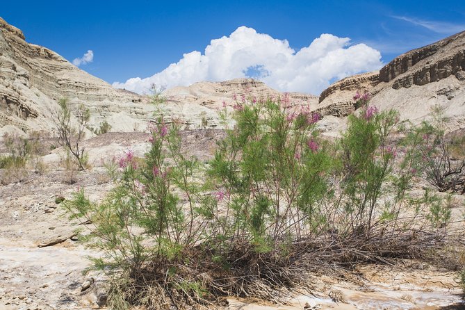 Altyn Emel. Singing Dune and Aktau Mountains 2 Days Tour - Itinerary Details