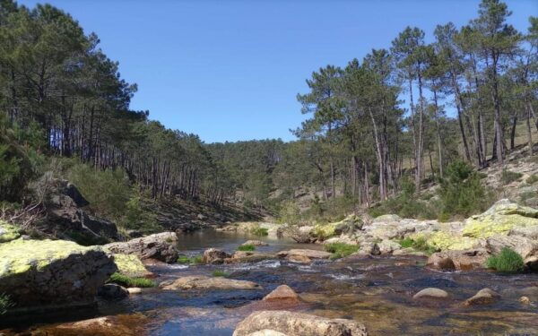 Alvão Natural Park: Visit the Biggest Waterfalls in Portugal - Transportation and Meeting Point