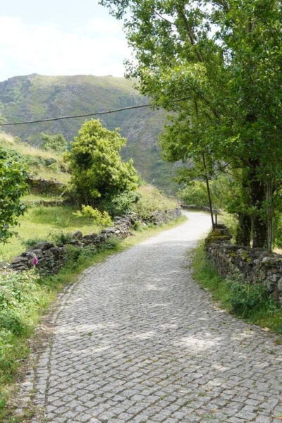ALVÃO SHEPHERDS HIKE - Frequently Asked Questions
