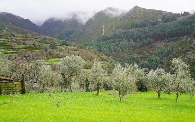 ALVÃO SHEPHERD'S HIKE - Who Should Consider This Tour?