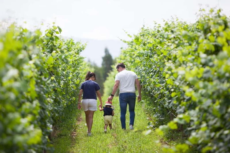 Alvarinho com Alma - Good To Know