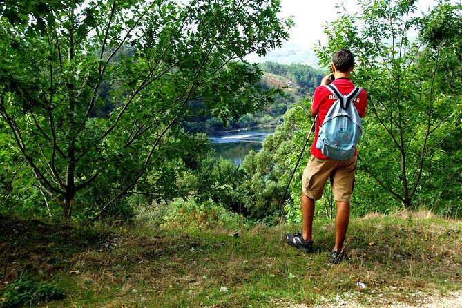 Alvarinho Wine Route and Melgaço - Tour Highlights