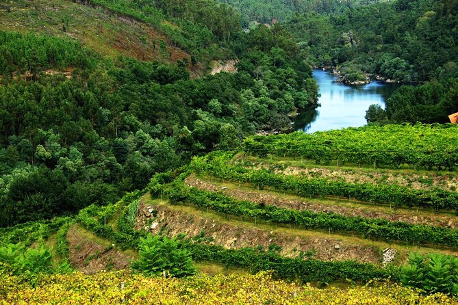 Alvarinho Wine Route and Melgaço - Transportation and Activities