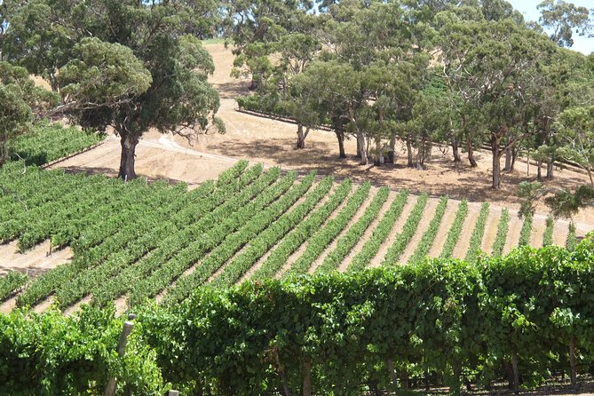 Amador County Wine Tasting Tours 6 to 8 Hour Private Tour - Tour Details