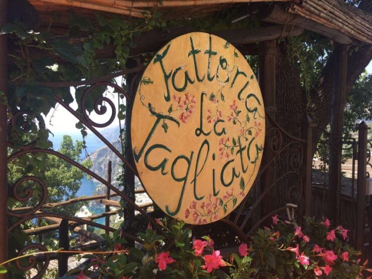 Amalfi Coast and Food Tour: From Farm to Table - Activity Description