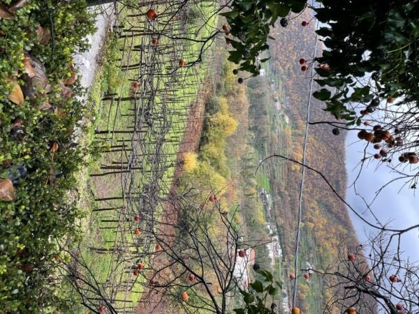 Amalfi Coast: Bomerano to Nocelle – The Path of the Gods - Additional Information