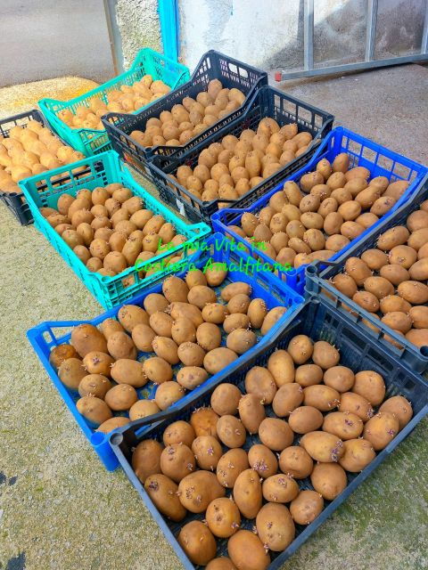 Amalfi Coast Cooking Class and Wine Tasting - Meeting Information