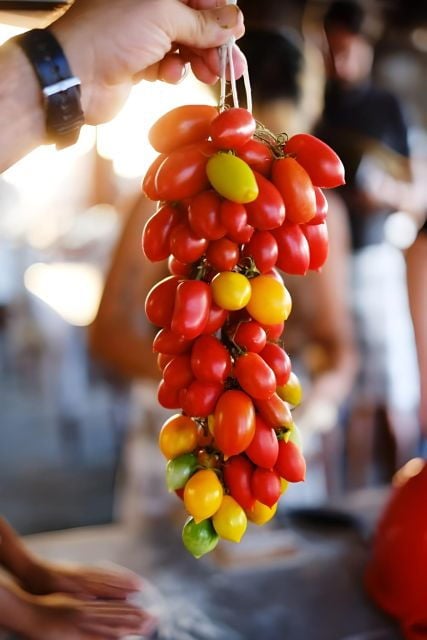 Amalfi Coast: Farm-tour, Make Mozzarella and Tagliatelle - Good To Know