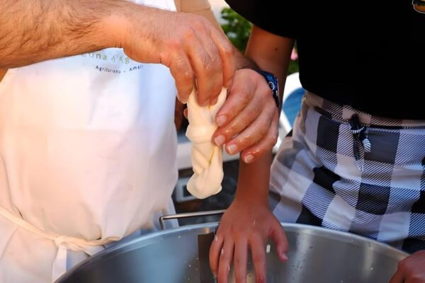 Amalfi Coast: Farm-tour, Make Mozzarella and Tagliatelle - Directions and Meeting Point