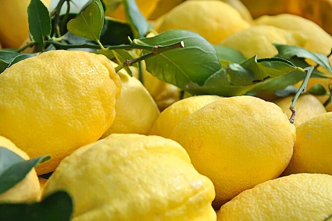 Amalfi Coast Lemon Path Tour With Tasting - Tasting Experience
