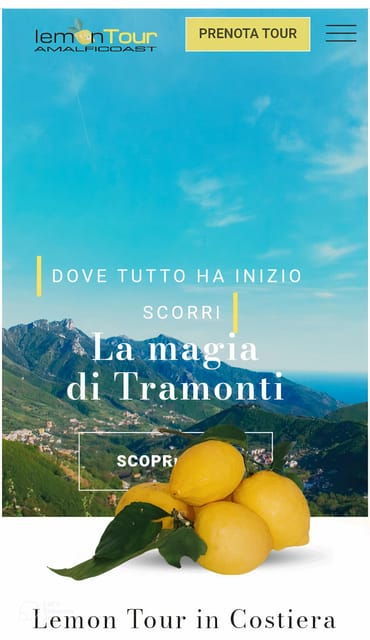 Amalfi Coast: Lemon Tour With Tasting - Important Information and Restrictions