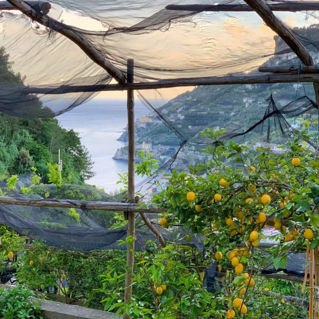 Amalfi Coast Path of the Lemon Private Walking Tour - Activity Description and Itinerary