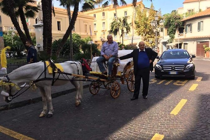 Amalfi Coast, Pompeii, and Vesuvio 2-Day Private Tour  - Sorrento - Directions