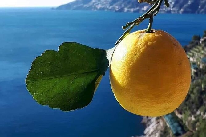 Amalfi Coast Private Excursion From Sorrento / Naples - End Point and Cancellation Policy