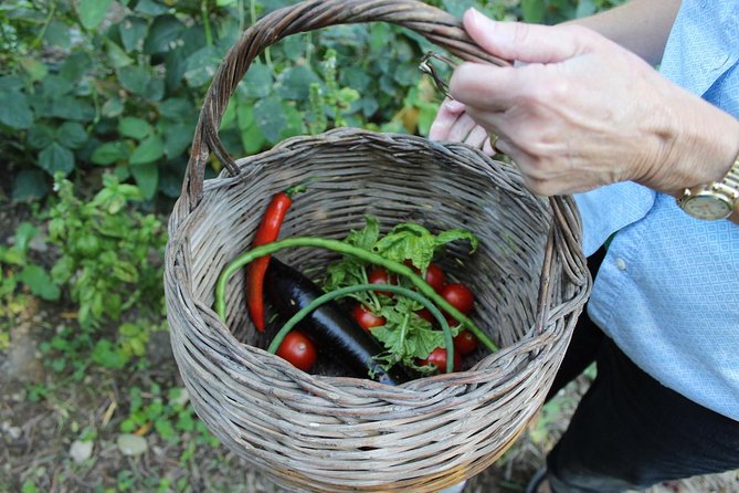 Amalfi Coast & Sorrento Cooking Class School at Farmhouse - Location and Setting of the Farmhouse