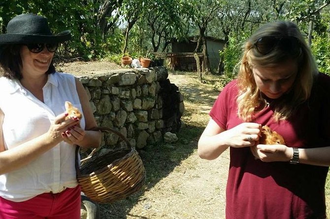 Amalfi Coast & Sorrento Cooking Class School at Farmhouse - The Sum Up
