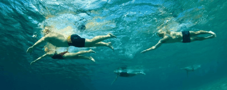 Amalfi Coast Swim Tour with Lifeguard & GoPro Video - Final Thoughts