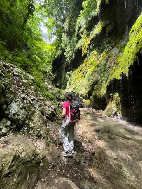 Amalfi Coast: The most beautiful trails of Ravello, Scala, and Minori - Who Will Love This Tour?
