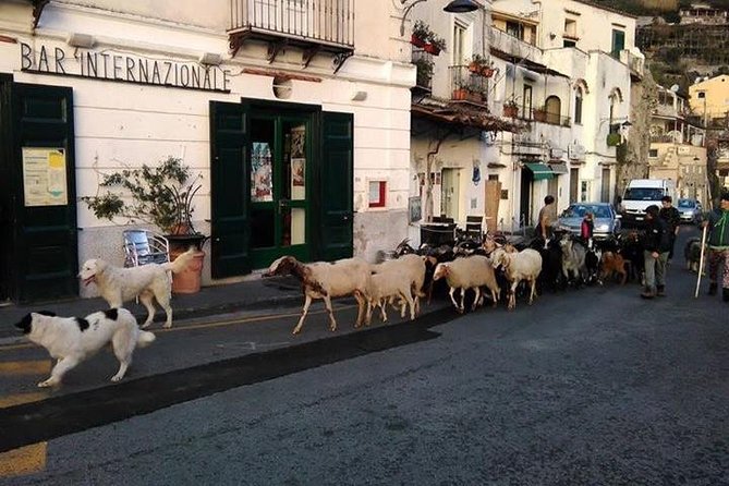 Amalfi Coast Tour - Questions and Assistance