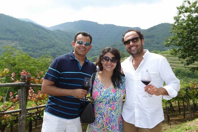 Amalfi Coast Tour - Viators History and Experience