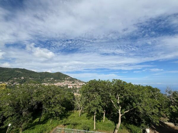 Amalfi: Cooking Class With Pasta, Mozzarella, and Tiramisù - Customer Feedback and Recommendations