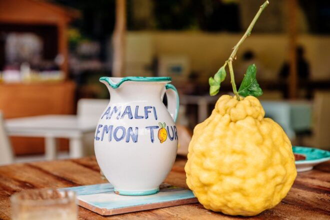 Amalfi Lemon Experience - Inclusions