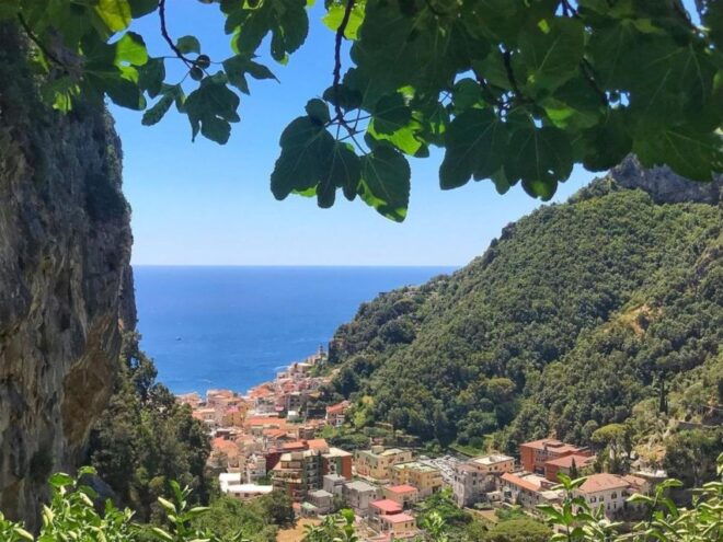 Amalfi Lemon Tour & Tasting | 25 Euro per Person - Booking & Reservation