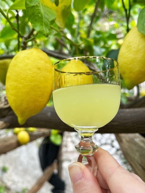 Amalfi Lemon Tour & Tasting in the Historical Garden - Inclusions