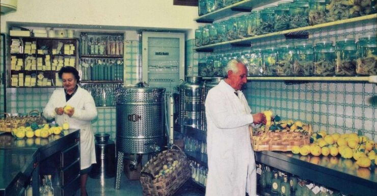 Amalfi: Limoncello Factory Visit With Instructor and Tasting - Activity Description