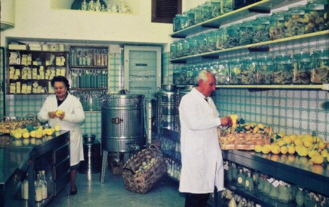 Amalfi: Limoncello Factory Visit With Instructor and Tasting - Restrictions