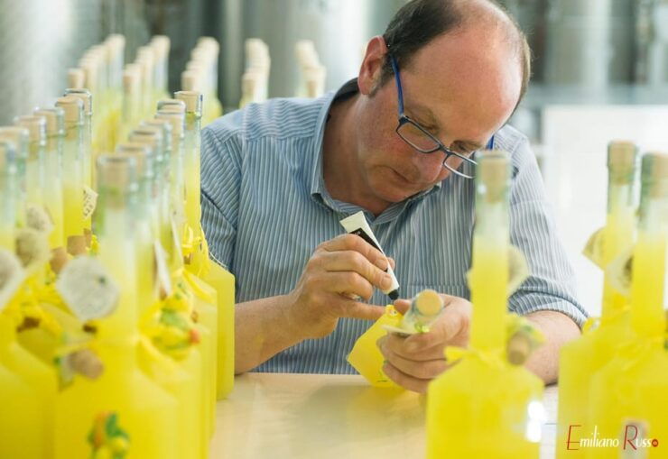 Amalfi: Vertical Lemon Farm Tour, Tastings, and Rural Museum - Good To Know