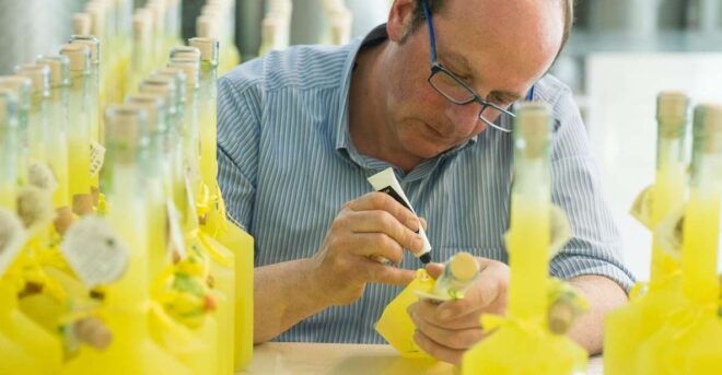 Amalfi: Vertical Lemon Farm Tour, Tastings, and Rural Museum - Itinerary and Schedule