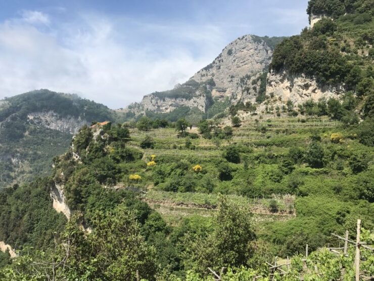 Amalfi: Walking Tour Between Furore Vertical Vineyards - Full Itinerary and Vineyard Visits