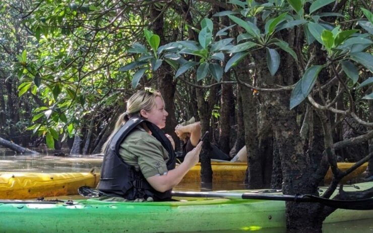 Amami Island: Mangrove Kayaking Excursion - Experience Highlights