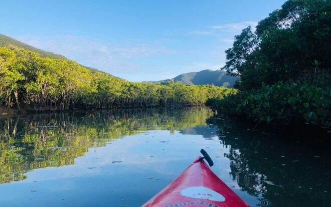 Amami Island: Mangrove Kayaking Excursion - Itinerary
