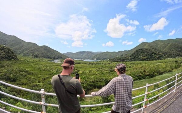 Amami Island: Mangrove Kayaking Excursion - Wildlife Observation During Low Tide