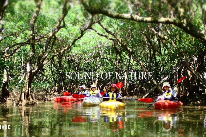 Amami Mangrove Canoe - Pickup and End Point Details