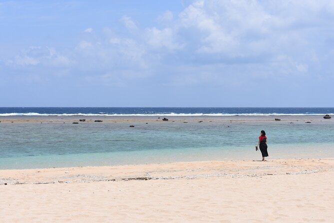 Amami Oshima Island Nature Highlights Day Tour - What to Bring
