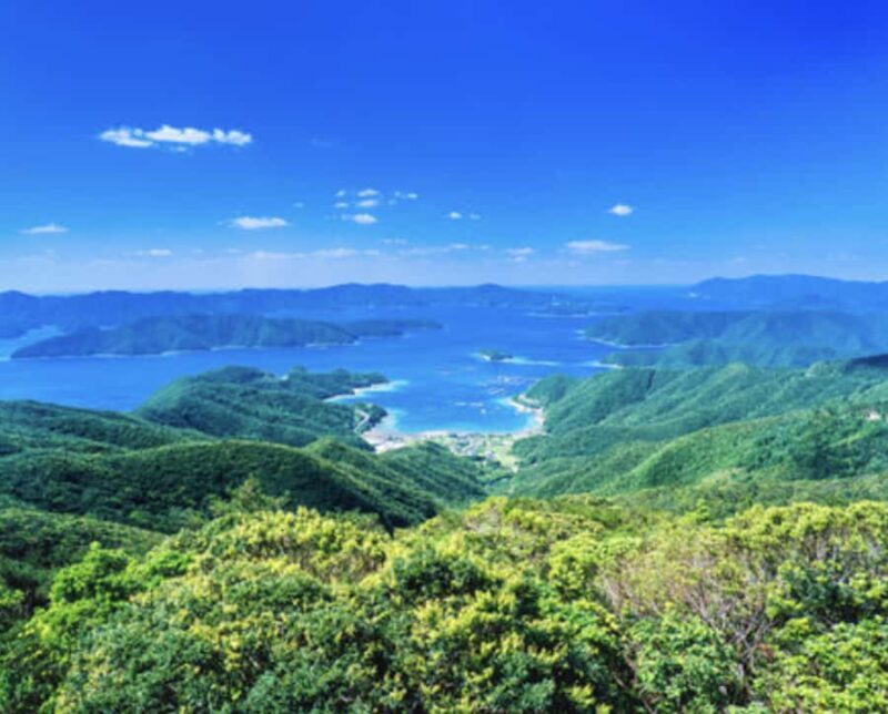 Amami Oshima Island Private Custom Tour with Local Guide - A Detailed Look at the Amami Oshima Private Tour