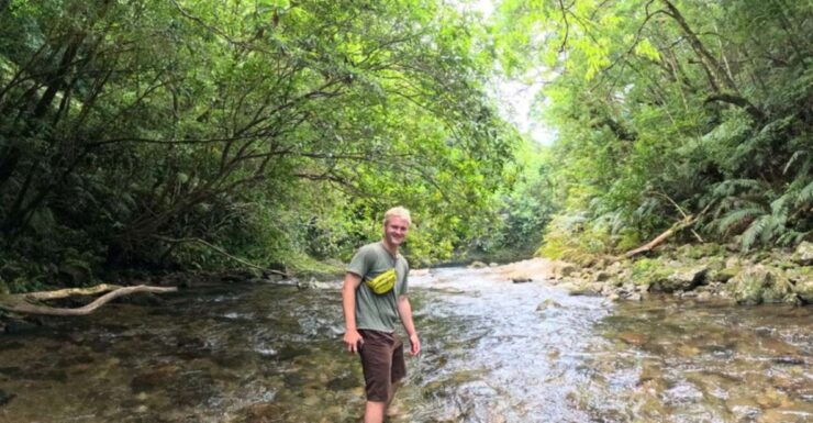 Amami Oshima: Mini Nature Walk and Wildlife Night Tour - Experience Highlights