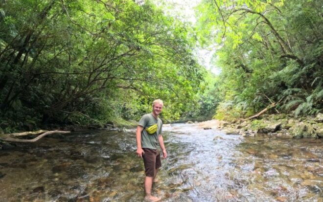 Amami Oshima: Mini Nature Walk and Wildlife Night Tour - Safety and Cancellation