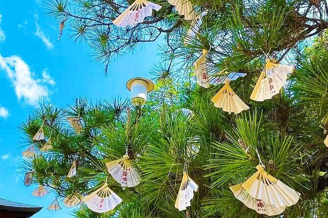 Amanohashidate And Ine Funaya One Day Tour from Kyoto - Final Thoughts