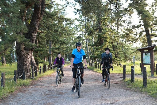 Amanohashidate Cruise E-Ride Tour - Whats Included