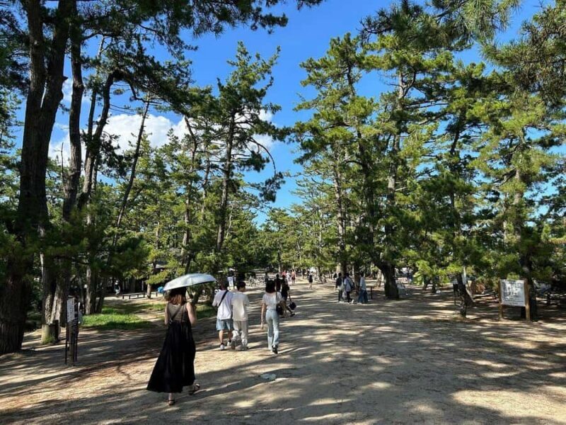 Amanohashidate: Guided Coastal Cycling Tour with Lunch - Duration and Pacing