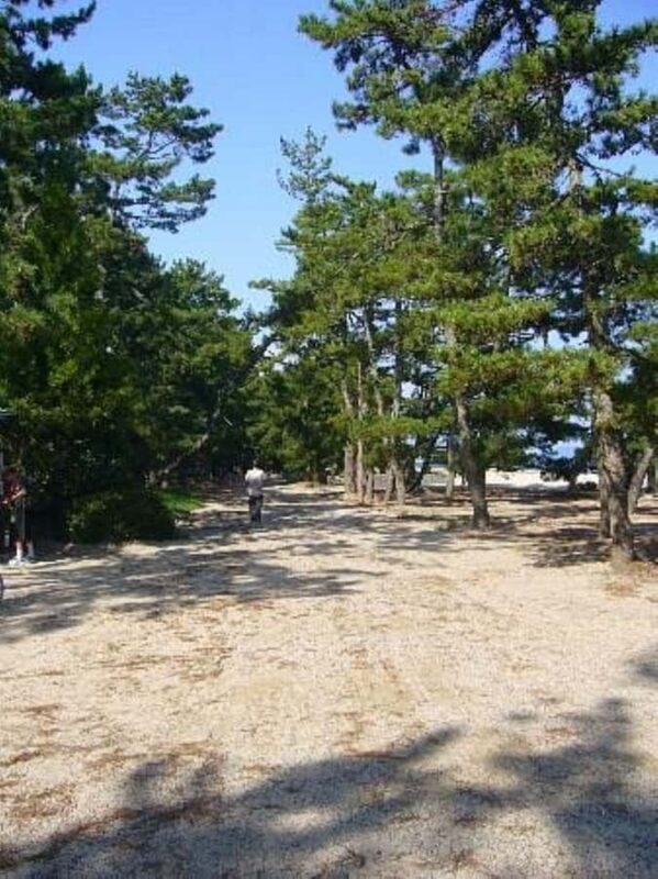 Amanohashidate: Guided Coastal Cycling Tour with Lunch - Good To Know