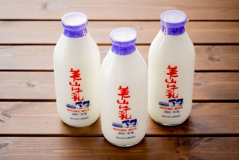 Amanohashidate & Ine Bay Sightseeing Boat & Kyoto Miyama Thatched Village One-Day Tour (Departing from Osaka/Kyoto) - Practical details before you book
