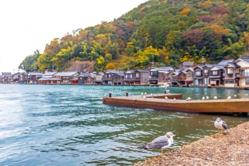 Amanohashidate & Ine Bay Tour With English Speaking Driver - Frequently Asked Questions